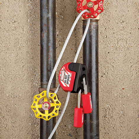 ���{����|�iʹ�ÈD